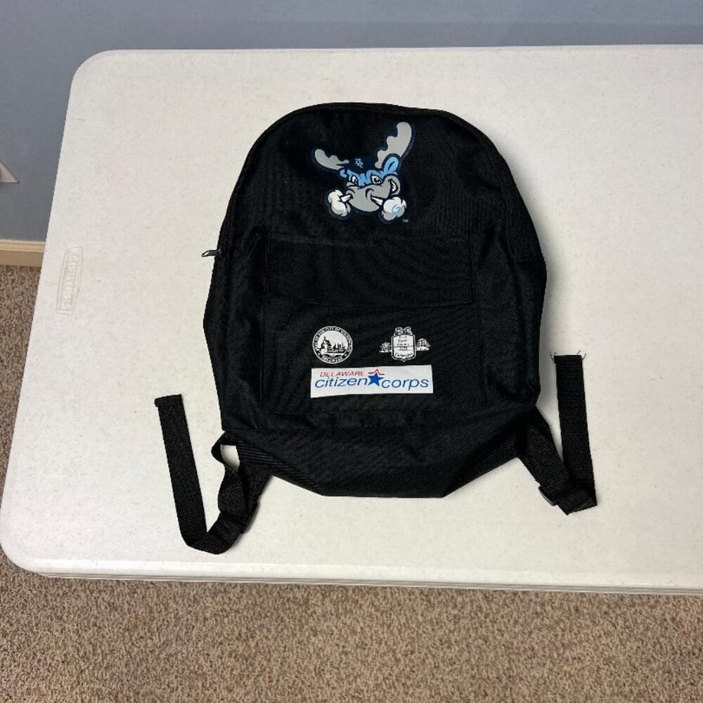 Wilmington Blue Rocks Baseball Team Backpack